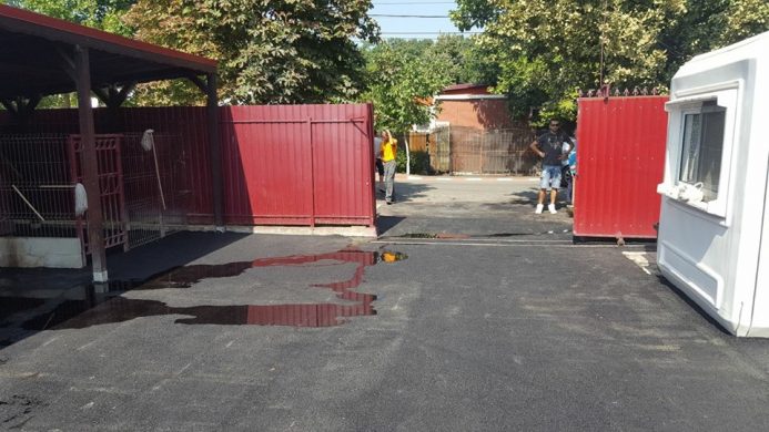 Asfaltare Curte in Voluntari si verificarea pantei de scurgere cu apa2